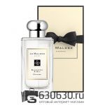 Евро Парфюмерия"Blackberry & Bay" 100 ml оптом